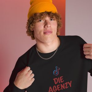 Die Agenzy Pullover mit mittigen Stick